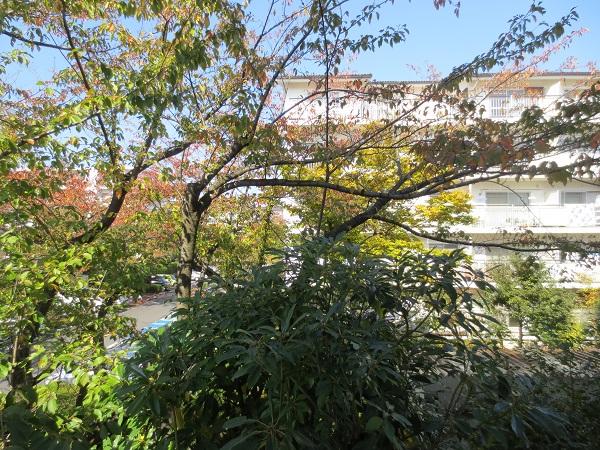 View photos from the dwelling unit. It is the north side of the view.