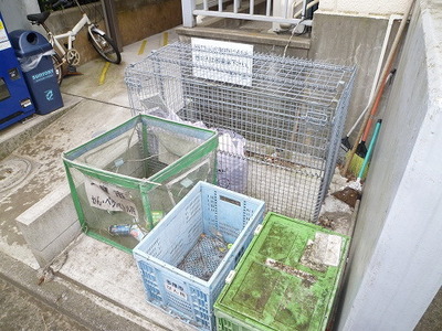 Other common areas. Garbage is yard