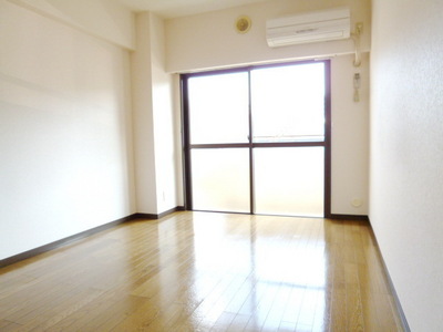 Living and room. The room is also bright