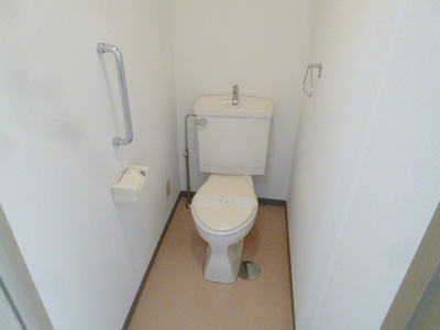 Toilet. Toilet with cleanliness