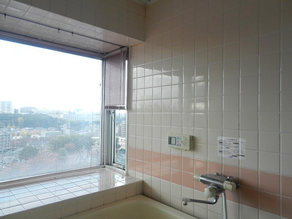 Bathroom. Indoor (11 May 2013) Shooting