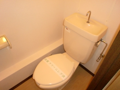 Other. Toilet