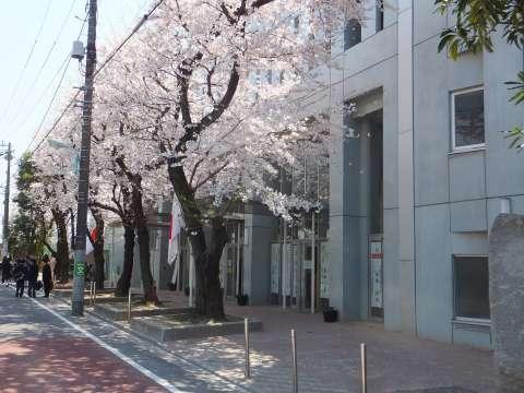 Junior high school. 729m to Toshima Ward Meiho Junior High School