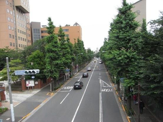 Other Environmental Photo. 600m until Tokyojoshidai