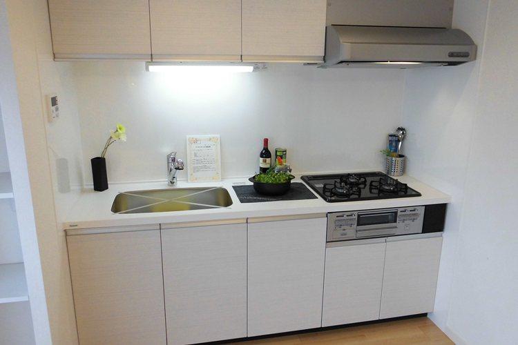 Kitchen. Indoor (10 May 2013) Shooting