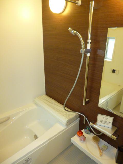 Bathroom. Indoor (10 May 2013) Shooting