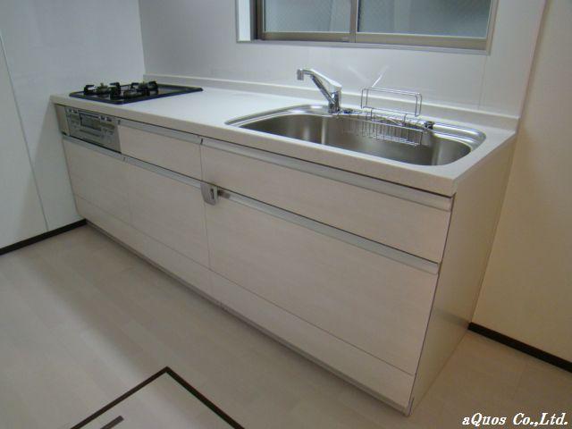 Kitchen. Indoor (11 May 2013) Shooting