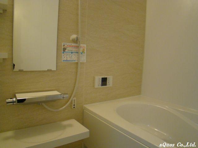 Bathroom. Indoor (11 May 2013) Shooting