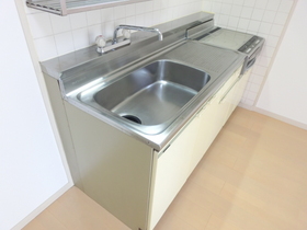 Kitchen. Spacious sink