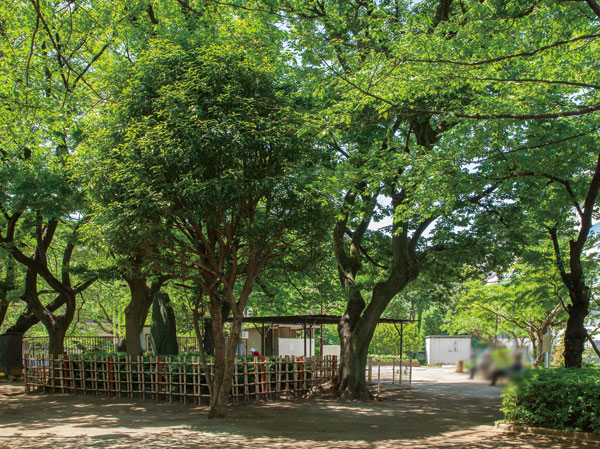 Surrounding environment. Precisely because we are living in the city center, Green moisture is irreplaceable. Spread is before one's eyes to the Sugamo park planning area, Including the renowned Somail cemetery for its cherry blossoms in the surrounding area, Spot to get close to the natural landscape of the four seasons is rich.  (Sugamo park / About 10m, 1-minute walk)