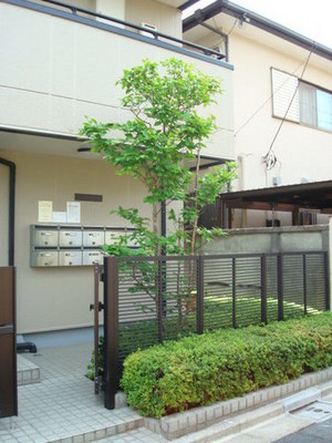 Entrance. Gate with the entrance