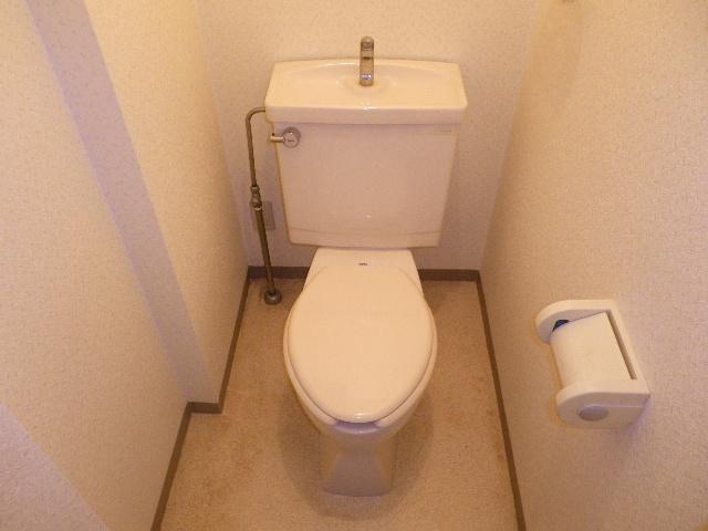 Toilet. Spacious toilet.