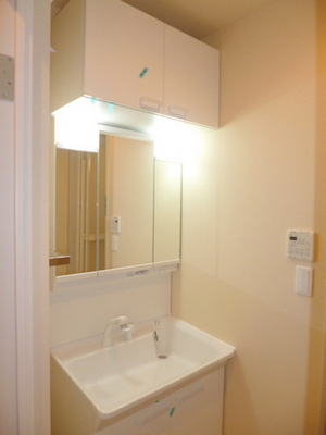 Washroom. Popular shampoo dresser