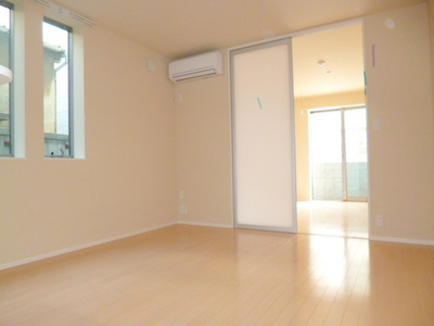 Living and room. Partition of the door is a stylish slide screen