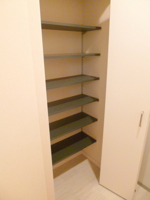 Entrance. 0.3 Pledge of shoes in cloak