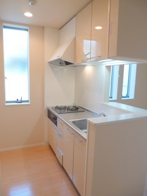 Kitchen. Stylish counter kitchen