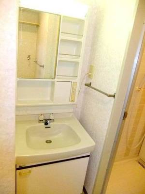 Washroom. Bathroom vanity