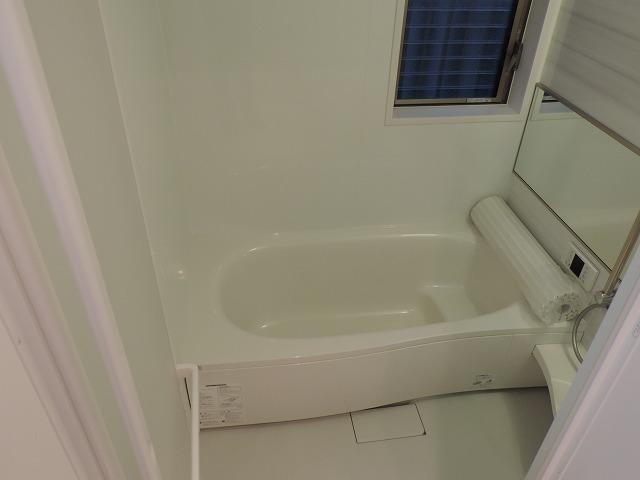 Bathroom. Indoor (12 May 2013) Shooting