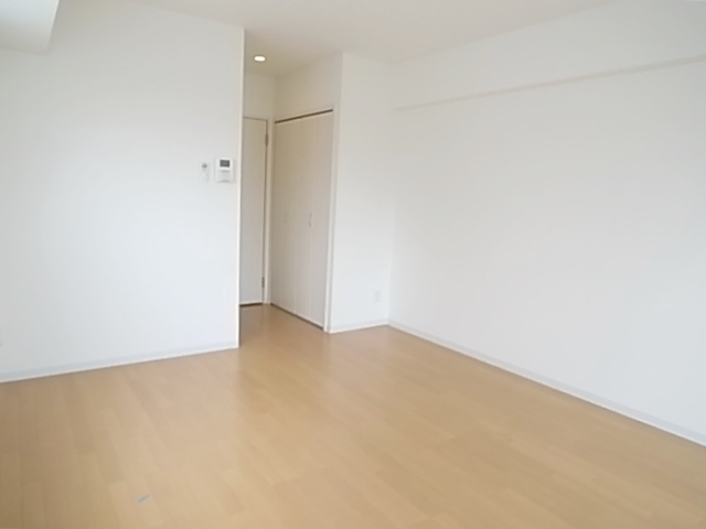 Living and room. It is with a closet.