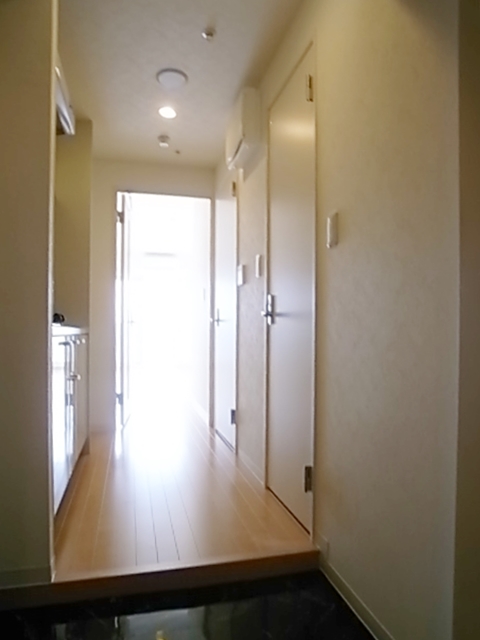 Entrance. The room from the front door.