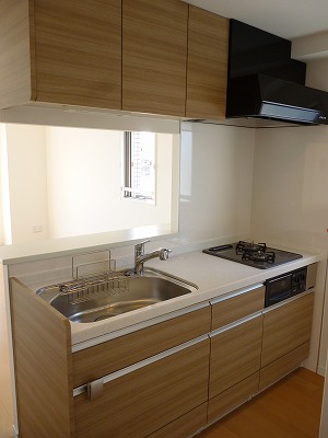 Kitchen. Two-burner gas system Kitchen Counter Kitchen