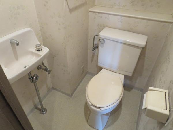 Toilet. With toilet is a convenient hand washing