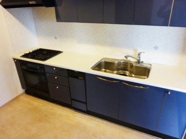 Kitchen. System kitchen are spacious