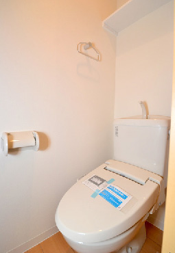 Toilet. Beautiful toilet.