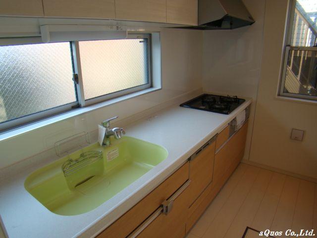 Kitchen. Indoor (11 May 2013) Shooting