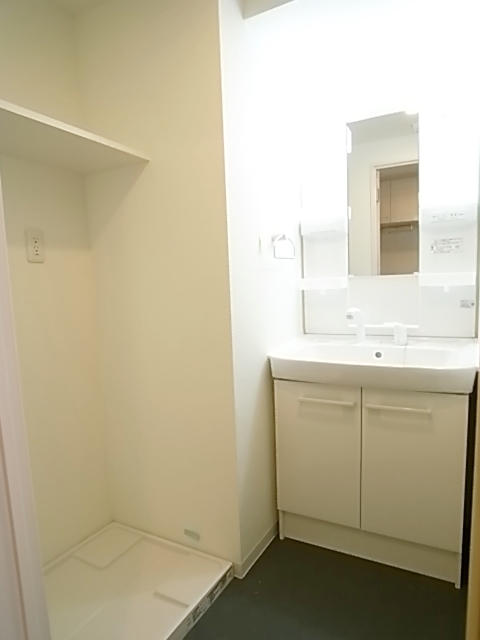 Washroom. Washing machine in the room is located in the basin undressing room. 