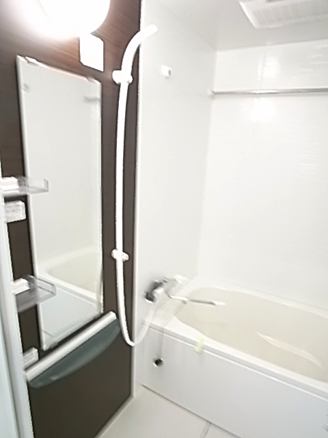 Bath. It is with a bathroom ventilation dryer. Impression accent panel is chic. 