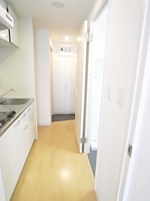 Kitchen. Entrance from the kitchen. 