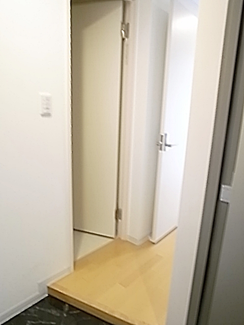 Entrance. The room from the front door. 