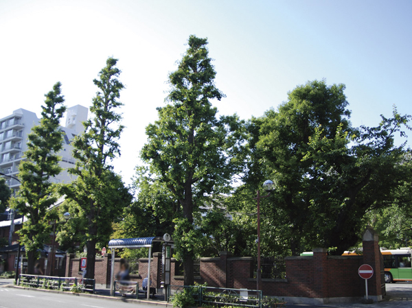 Surrounding environment. Mejirodai around the streets (about 1340m ・ Walk 17 minutes ・ Bike about 7 minutes)