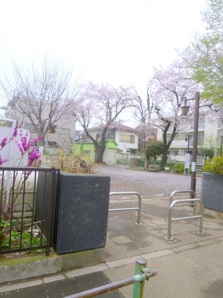 park. 201m to the park (park)