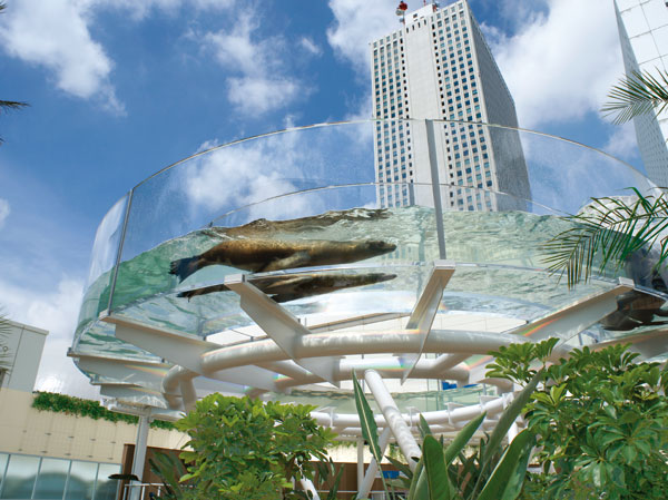 Surrounding environment. Sunshine Aquarium (bicycle about 7 minutes ・ Walk 16 minutes ・ About 1240m)