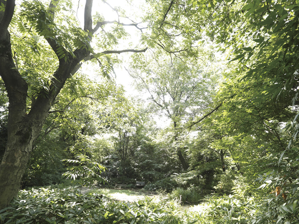 Surrounding environment. Mejiro Forest (about 800m / A 10-minute walk)