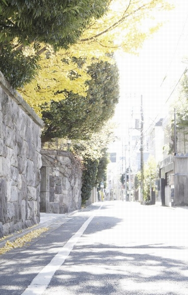 Around local streets (about 530m)