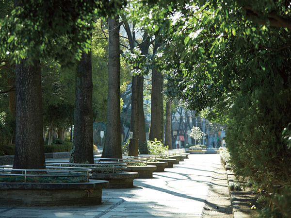 Surrounding environment. Park where there is moisture in the green and water "forest park of Education" (about 1120m / A 14-minute walk)