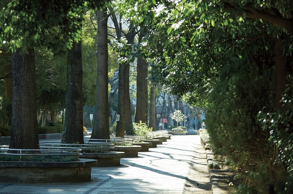 "Forest Park of education" (about 1120m ・ 14 mins) freedom square, Rinkan Square, There is a multiple of the square and pond Jabujabu ponds, etc., Forest zone, Cherry trees also park