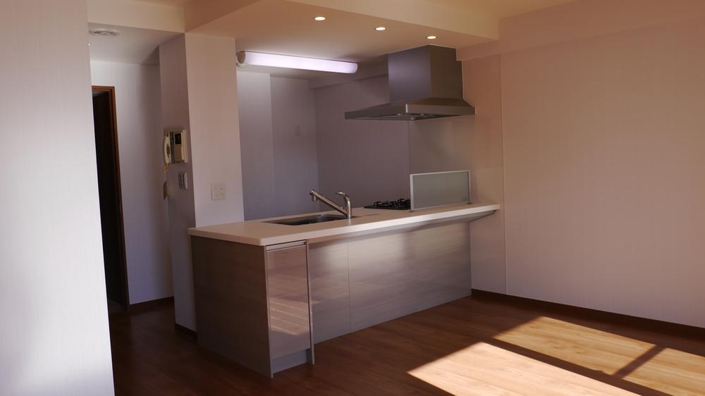 Kitchen. Indoor (12 May 2013) Shooting