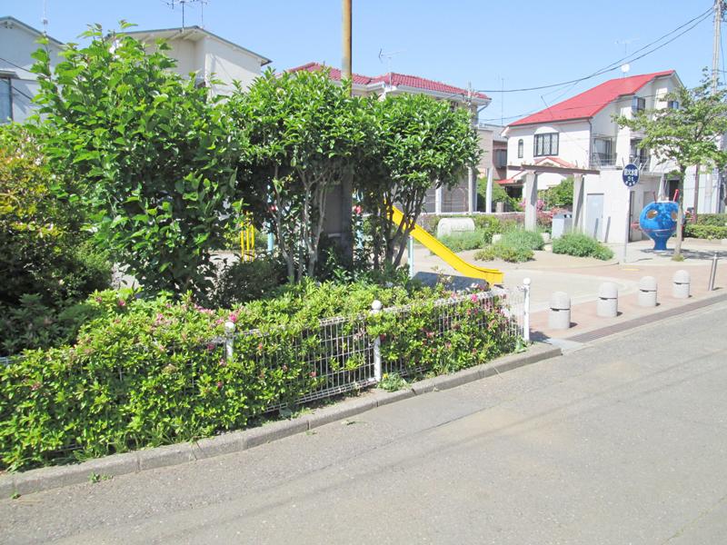 Other local. Local (May 2013) Shooting