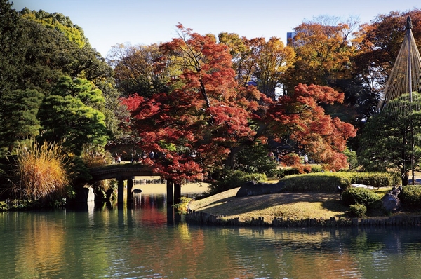 "Rikugien" (about 20m ・ 1-minute walk) (December 2012 shooting)