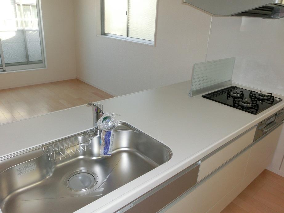 Kitchen. Indoor (12 May 2013) Shooting