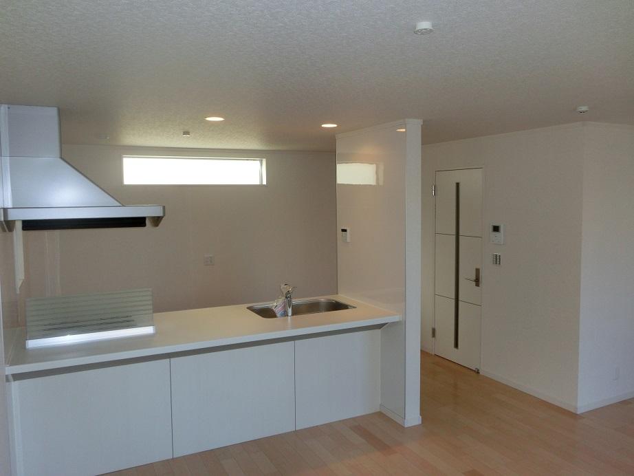 Living. Indoor (12 May 2013) Shooting