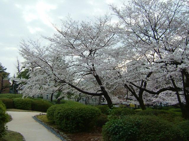 Other. Tetsugakudo park