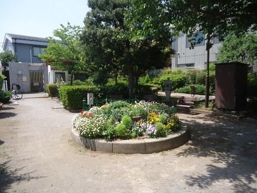 park. Chihaya to parkland 312m