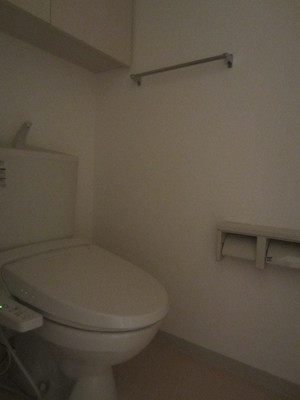 Toilet. Convenient shelf is attached to the toilet!