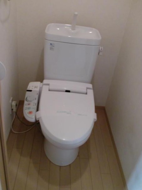 Toilet. Washlet toilet