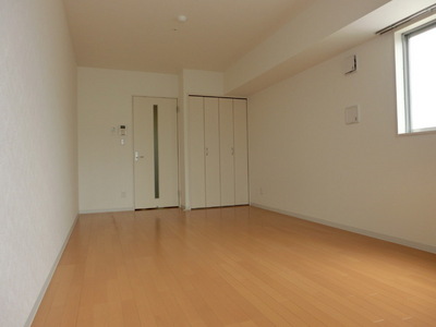 Living and room. Western-style flooring